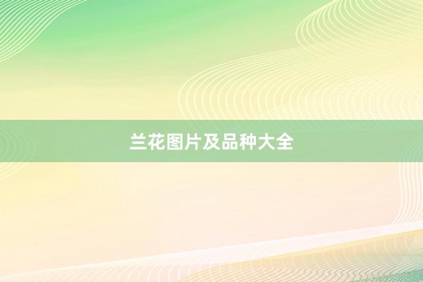 兰花图片及品种大全