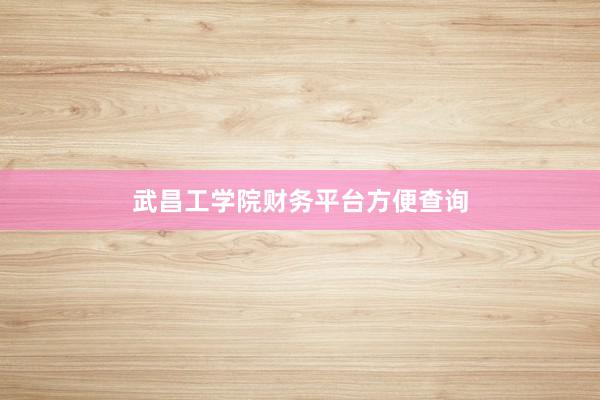 武昌工学院财务平台方便查询
